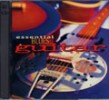 Essential Blues Guitar-(2CDS) House of Blues (USED)