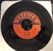 Jay Nelson- Wild Love/ To You My Darlin'