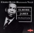 James Elmore- The Sky Is Crying