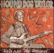 Taylor Hound Dog-Release The Hound