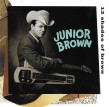 Junior Brown- 12 Shades Of Brown