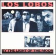 Los Lobos- By The Light Of The Moon