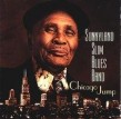 Sunnyland Slim-Chicago Jump