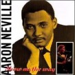 Neville Aaron- Show Me The Way