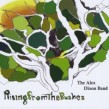 Alex Dixon Band- Rising From The Bushes