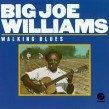 Williams Big Joe- Walking Blues (2on1)