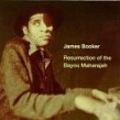 Booker James- Resurrection Of Bayou Maharaji