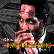 Chicago Down Home Harmonica Vol 1