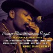 Chicago Blues Harmonica Project- More Rare Gems