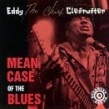 Clearwater Eddy- Mean Case Of The Blues