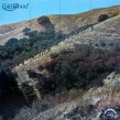 Cold Blood-(VINYL) Sisyphus