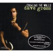Gross Dave- Crawling The Walls