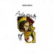 Davis Miles- Amandla