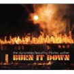 The Dynamites featuring Charles Walker- Burn It Down
