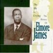 James Elmore- The Sky Is Crying- The History Of Elmore James