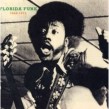 Florida Funk- FUNK 45's From The Alligator State