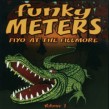 Funky Meters- Fiyo At The Fillmore