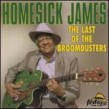Homesick James- Last Of The Broomdusters
