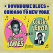 Homesick James/ Cousin Leroy- Downhome Blues