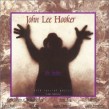 Hooker John Lee-(USED) The Healer