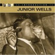 Wells Junior-An Introduction To