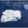 James Etta-Blue Gardenia