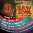 James Brown-(VINYL) Sings Raw Soul
