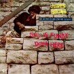 James Brown-(VINYL) Sho Is Funky Down Here