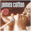 Cotton James- Best Of The Vangurad Years