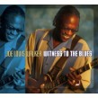 Walker Joe Louis- Witness To The Blues