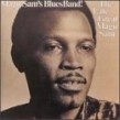 Magic Sam- The Late Great Magic Sam (japanese import)