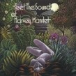 Mandel Harvey- Feel The Sound