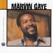 Gaye Marvin-(2CDS) The Best Of