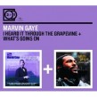 Gaye Marvin-(2on1) What's Goin On/Heard It Through The Grapevine