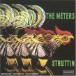 Meters- Struttin