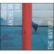 Metheny Pat- The Way Up