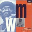Waters Muddy-His Best 1947-1955