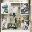 Neville Bros. <br>Family Groove