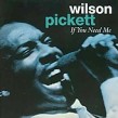 Pickett Wilson- If You Need Me