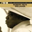 Williams Robert Pete- An Introduction To