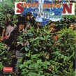 Savoy Brown- A Step Further