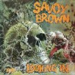 Savoy Brown- Looking In