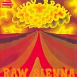 Savoy Brown- Raw Sienna
