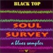 Black Top Soul Survey- Darrell Nulisch  Snooks Eaglin