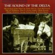 Sound Of The Delta- Mississippi Delta Blues 1960's