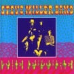 Steve Miller Band- Children Of The Future