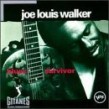 Walker Joe Louis- Blues Survivor