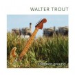 Trout Walter- Common Ground