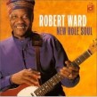 Ward Robert- New Role Soul