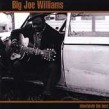 Williams Big Joe<br>Absolutely The Best